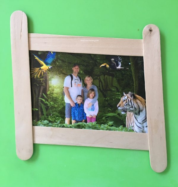 Craft stick frame