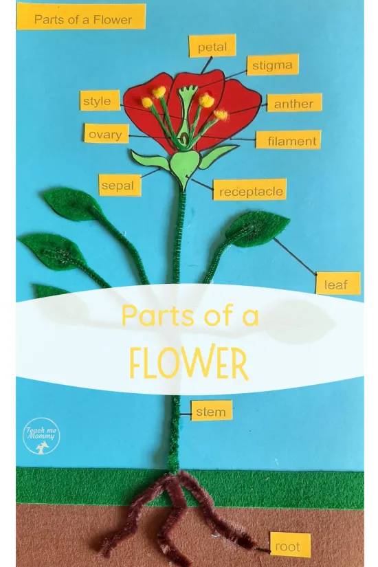 Parts of a Flower pin