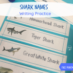 Shark names