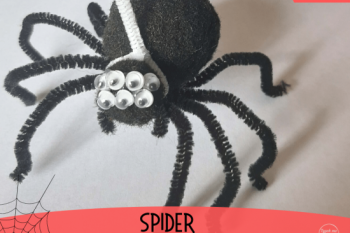 Spider craft fb