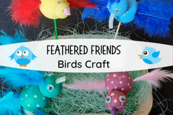 Birds craft for kids