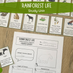 Rainforest Life Study Unit