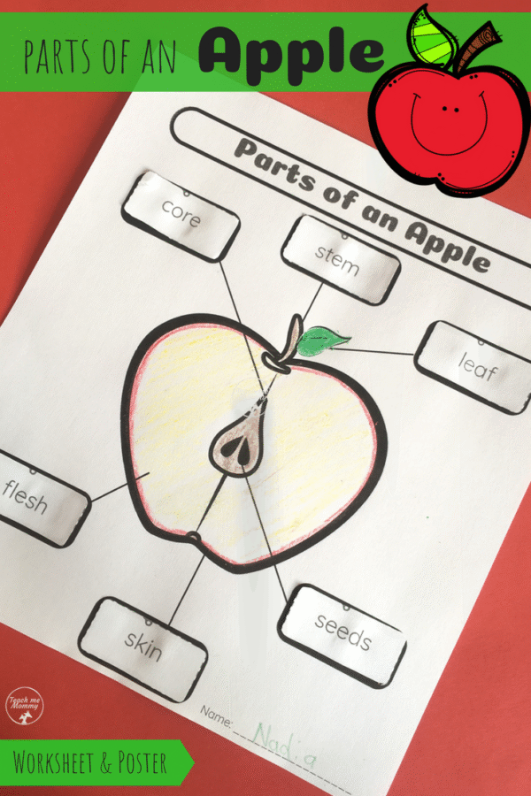 Parts apple pin