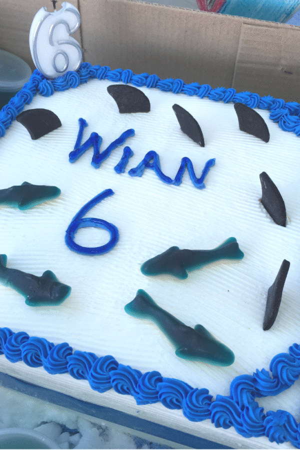 Shark6